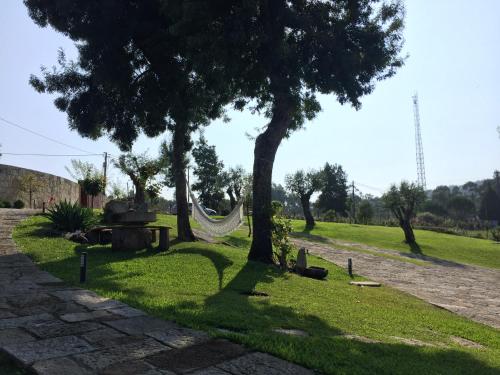 a hammock in a park with trees and grass at Azenha do Tio Luís in Caminha