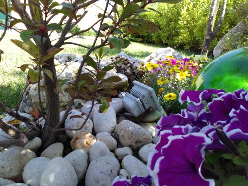 a garden with rocks and a tree and flowers at Villetta Dote in Casarano