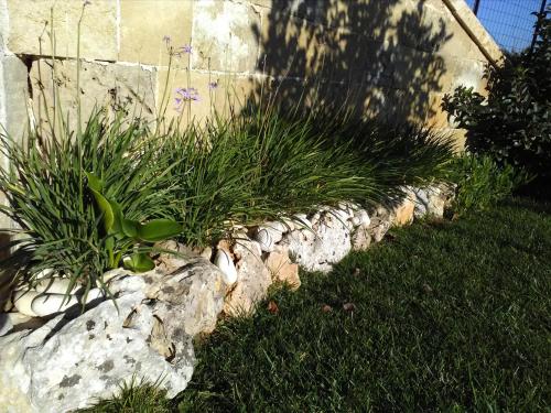 a row of plants in a rock garden at Villetta Dote in Casarano