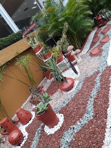 a garden with potted plants on a gravel path at Hotel Sempre Bahia in Salvador