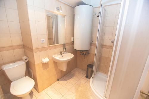 a bathroom with a toilet and a sink and a shower at Penzion Moyzes in Banská Bystrica