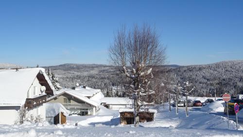 a snow covered yard with a house and a stop sign at Apartment Almberg in Mitterfirmiansreut