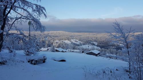 a snow covered field with buildings in the distance at Apartment Almberg in Mitterfirmiansreut