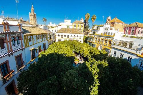 Plaza de Doña Elvira Atico- Penthouse Next to Cathedral ...