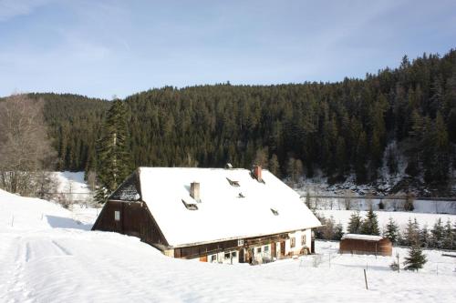 Το Igluhut Tiny House Winterberghof τον χειμώνα