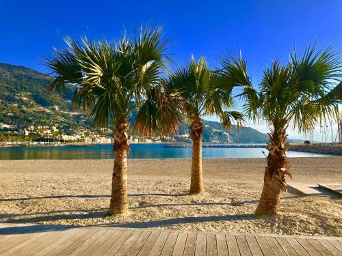 Trois palmiers sur une plage de sable près de l'eau dans l'établissement Longue 2 Menton, à Menton