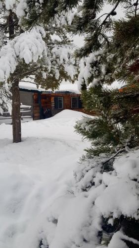 a house covered in snow next to a tree at Woodhouse Cottages And Ranch in Prince George
