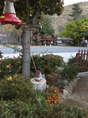 a bird house in a pot next to a tree at Sequoia Lodge in Kernville