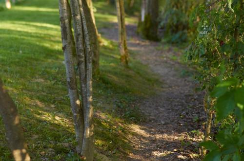 a dirt trail with trees on the side of it at Hotel B&B "Zur Schanz" in Ebbs