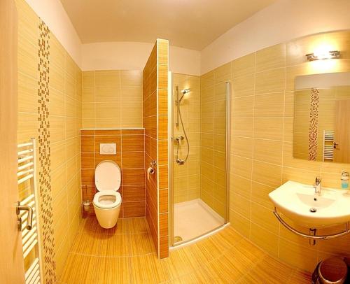 レドニツェにあるPenzion U Bohušaのバスルーム(トイレ、シャワー、シンク付)