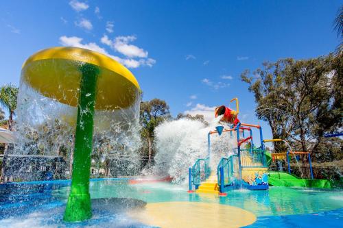 Πισίνα στο ή κοντά στο Discovery Parks - Renmark Riverfront
