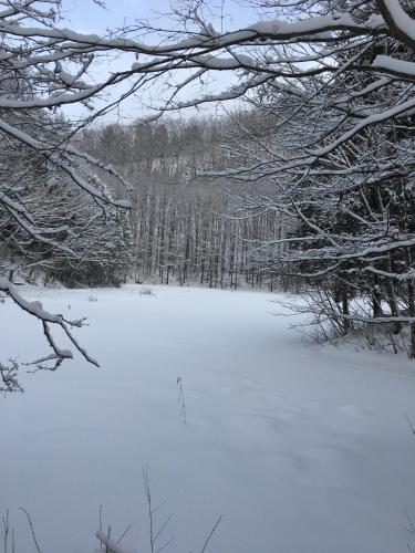 a field covered in snow with trees in the background at Keiryuso Siorie in Matsumoto