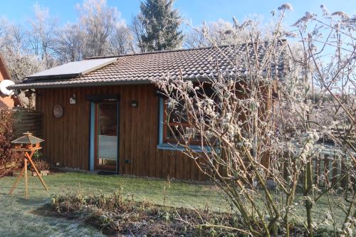a small wooden house with a door in a yard at Studioferienhaus Herzogstadt-Celle in Celle