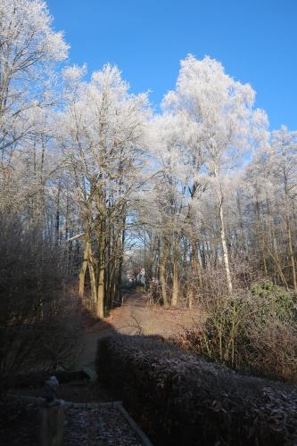 a path in a park with snow covered trees at Studioferienhaus Herzogstadt-Celle in Celle
