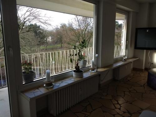 um quarto com duas grandes janelas com vasos de plantas em Ferienwohnung Parkblick em Bremen