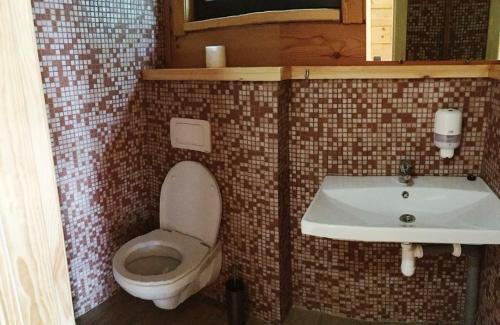 a bathroom with a toilet and a sink at GOL&Wood in Stepashki