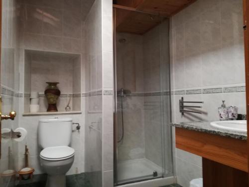 a bathroom with a shower and a toilet and a sink at Villa castellanos in Isla