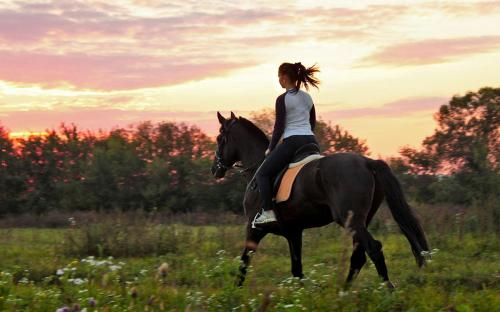 a woman riding a horse in a field at Agriturismo Tenuta "Il Cigno" in Villanterio