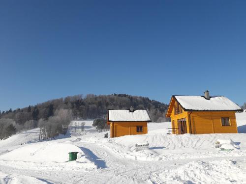 two buildings covered in snow on a mountain at Domki pod Bukowym lasem in Wańkowa