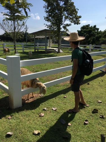 a boy wearing a hat looking at a dog by a fence at Bann Rai Klai Weang Homestay in Ban Muang Chum