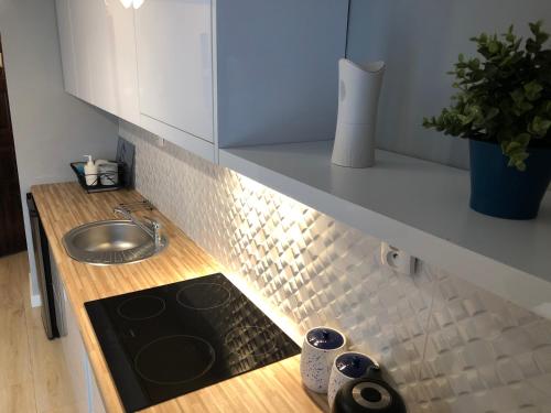 a kitchen with a sink and a counter top at Apartament Blue Lagoon in Sopot