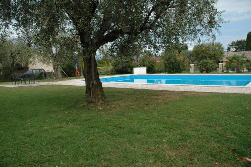 un albero nell'erba accanto a una piscina di Frida's Apartment a Bardolino