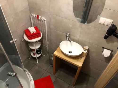 a bathroom with a sink and a shower at Apartament Sunset in Sopot