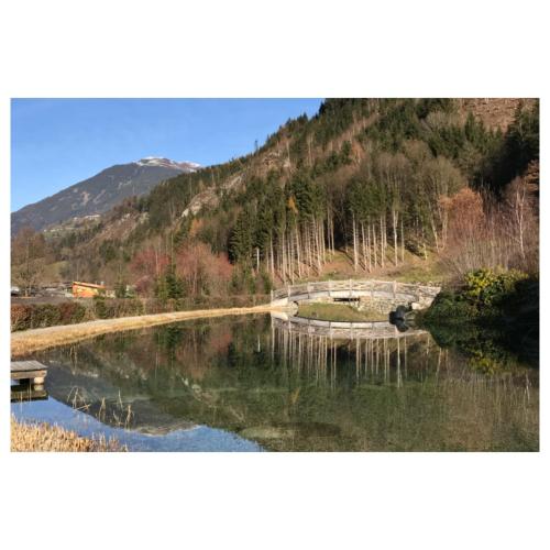 キャンプ場の近くで見られる自然の景観