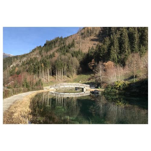 キャンプ場の近くで見られる自然の景観