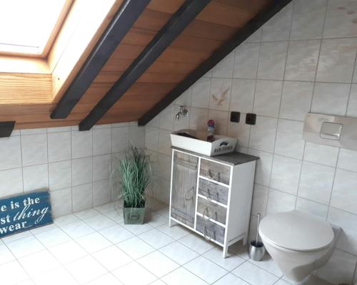 La salle de bains est pourvue de toilettes et d'un lavabo. dans l'établissement Ferienwohnung Ruhenest, à Willingen