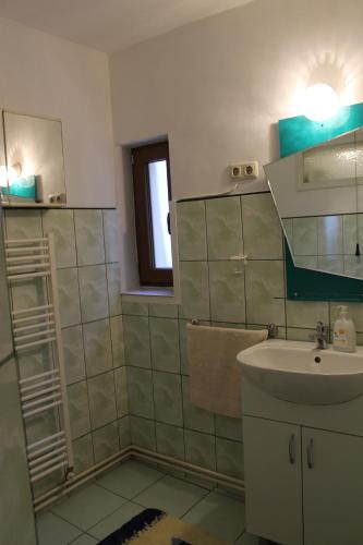 a bathroom with a sink and a mirror at Pensiunea Alecsandra in Vatra Dornei