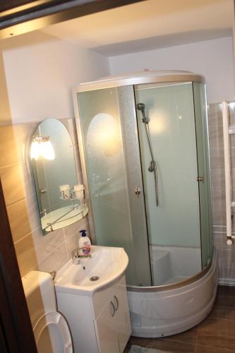 a bathroom with a shower and a sink and a toilet at Pensiunea Alecsandra in Vatra Dornei