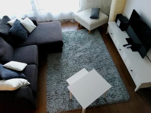 a living room with a black couch and a rug at Marina Holiday Rauhan Village Apartments in Imatra