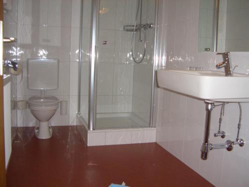 e bagno con servizi igienici, doccia e lavandino. di Land- & Panoramagasthof Schöne Aussicht a Viktorsberg