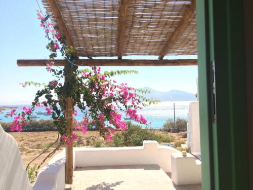 a room with a view of the ocean and flowers at Apollon Koufonisia Studios in Koufonisia