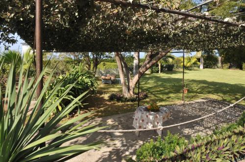 Jardin de l'établissement CHC - Casa del Abuelo II