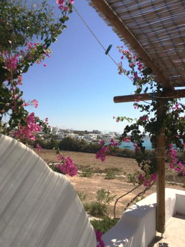 a view of the ocean from a patio with pink flowers at Apollon Koufonisia Studios in Koufonisia
