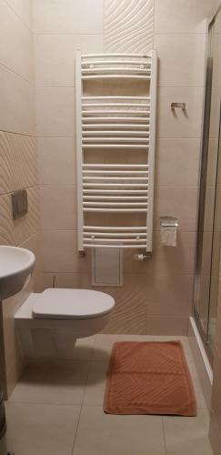 a bathroom with a toilet and a sink and a shower at Centrum Promocji Leśnictwa w Mucznem in Lutowiska
