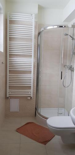 a bathroom with a shower and a toilet and a sink at Centrum Promocji Leśnictwa w Mucznem in Lutowiska