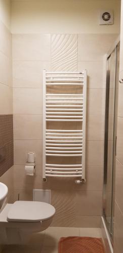 a bathroom with a toilet and a glass shower at Centrum Promocji Leśnictwa w Mucznem in Lutowiska