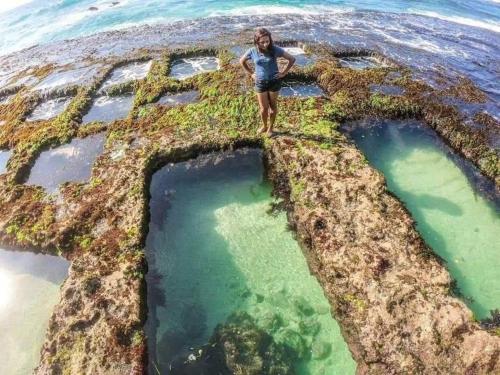Un paisaje natural cerca de la casa de huéspedes