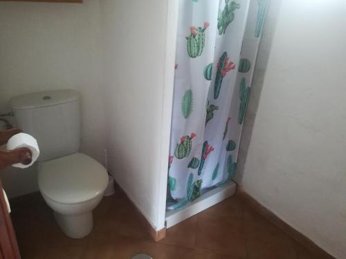 EchedoにあるVivienda Vacacional El Luceritoのバスルーム(トイレ、シャワーカーテン付)