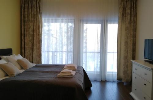 1 dormitorio con 1 cama y 2 ventanas grandes en Marina Holiday Rauhan Village Apartments, en Imatra