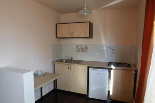 a small kitchen with a sink and a stove at Titulescu Apartments in Bucharest