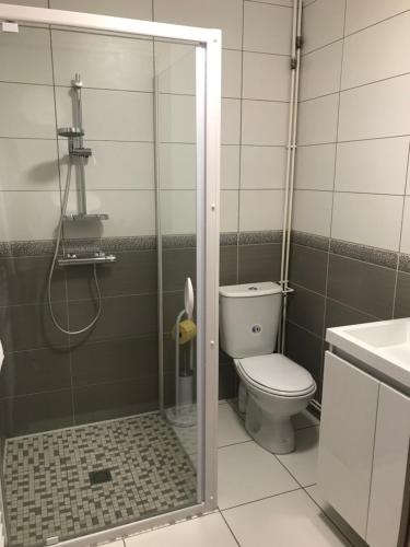 een badkamer met een douche, een toilet en een wastafel bij Logis Le Provençal in Euville