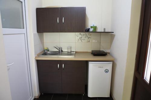 a small kitchen with a sink and a dishwasher at Titulescu Apartments in Bucharest