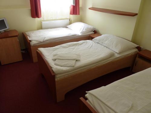 Gallery image of Horský hotel Excelsior in Horní Lomná