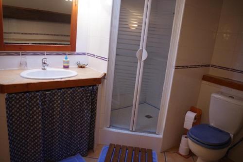 a bathroom with a shower and a sink and a toilet at La Ferme de Menoun in Thil