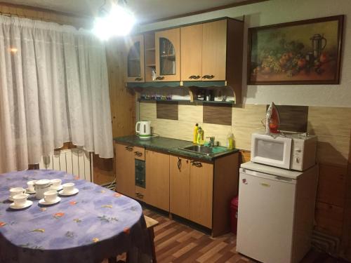 Köök või kööginurk majutusasutuses Guest House U Myrona