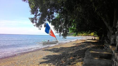 a boat on the beach with a flag on it at Bali Dream House in Amed